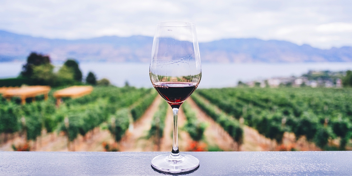 Sustainable Wine